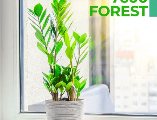 Perfiles Serie 7600 Forest de Baufens